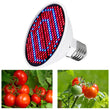 Led Grow Light Phytolamp for Plant Lamp Full Spectrum Grow Tent Lights Lamp Grow Lamp Indoor Lighting Hydroponic Growth LightE27